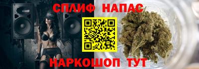 гидра Можга