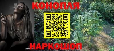 гидра Можга