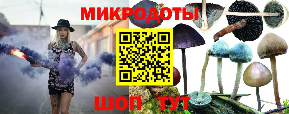 Галлюциногенные грибы мухоморы Сегежа
