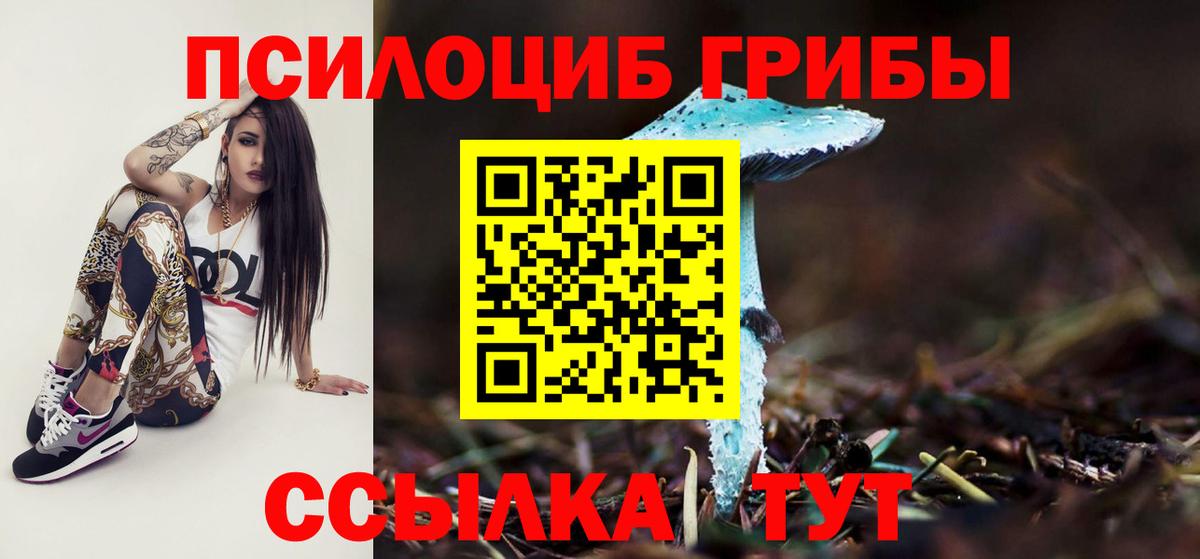 Сегежа  Псилоцибиновые грибы GOLDEN TEACHER  купить  цена  Вход с VPN 
